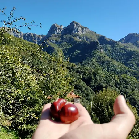 La Ricciatella Stazzema